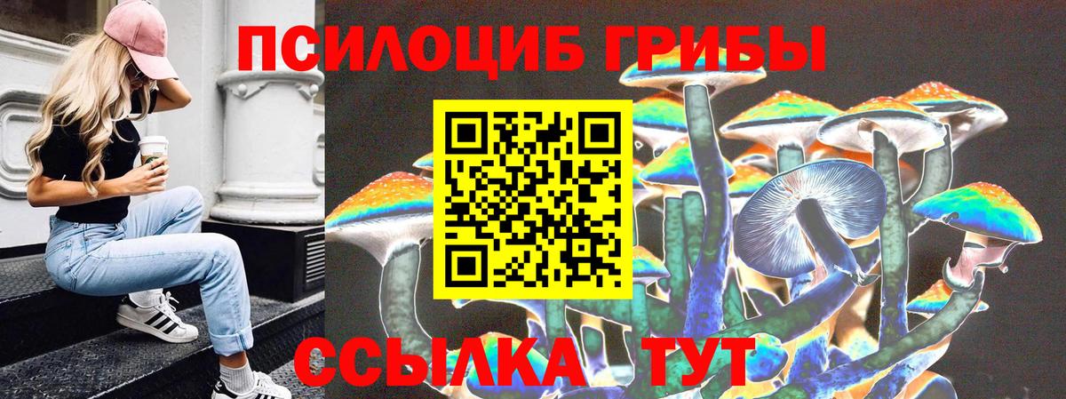 наркота  Вход с VPN  Миасс  Псилоцибиновые грибы мицелий 
