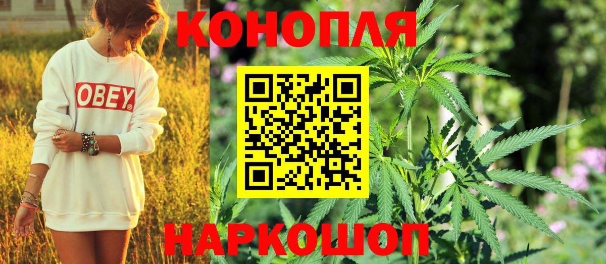 Шишки марихуана семена Миасс